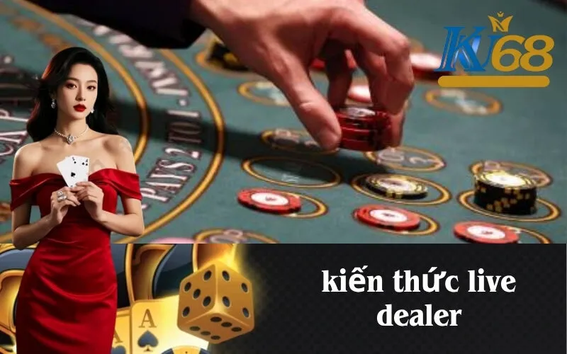 kiến thức live dealer