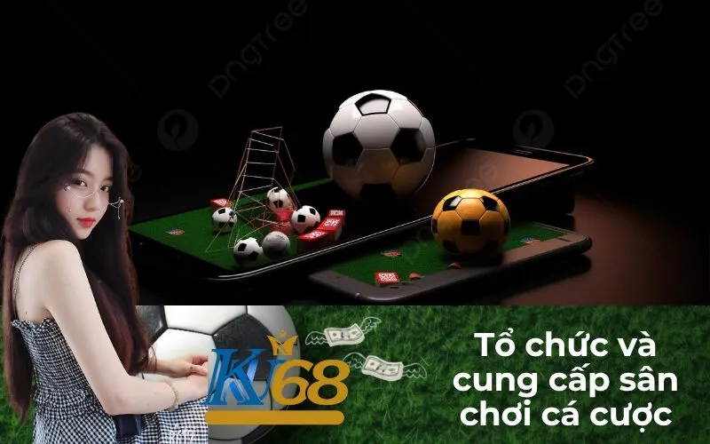 Tổ chức và cung cấp sân chơi cá cược